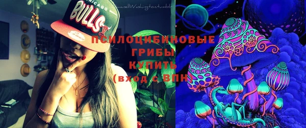 сатива Алексеевка