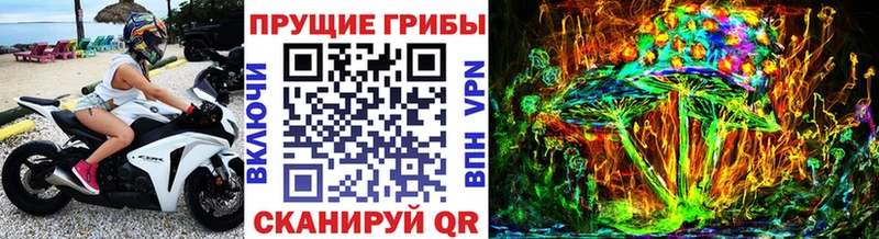 где можно купить наркотик  Велиж  Псилоцибиновые грибы GOLDEN TEACHER 
